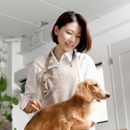 トリミングサロン