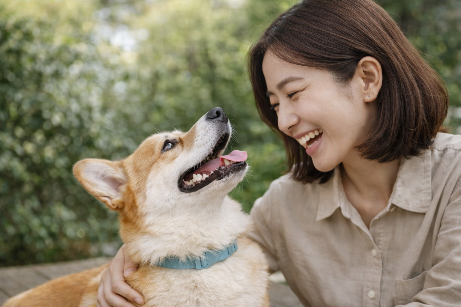 メインビジュアル